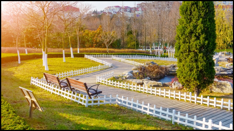 Backyard Renovation Decoradyard