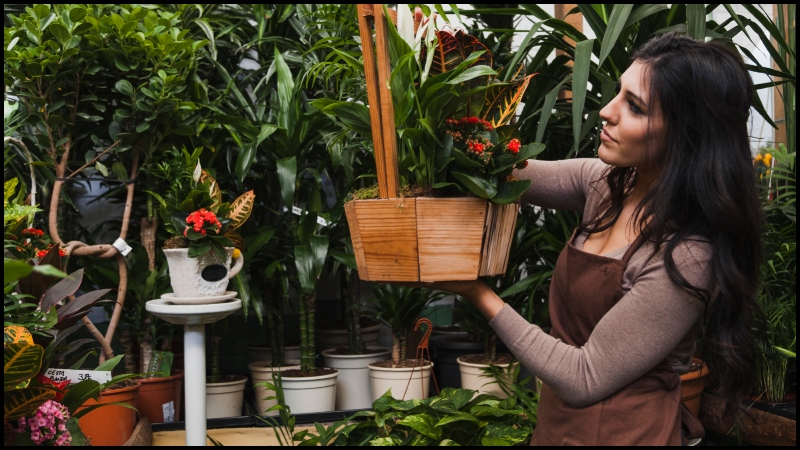 decoradhouse garden tips by decoratoradvice